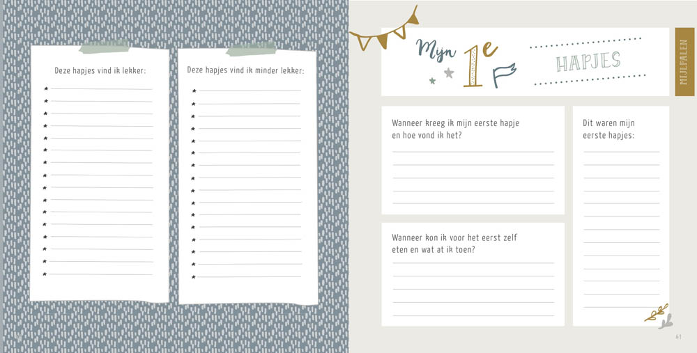 Mijn eerste jaar boek - mint | 9789082693089